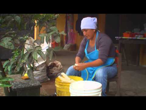 Embedded thumbnail for Centro de Promoción Agropecuaria Campesina premiado en concurso &amp;quot;Para muestra basta un botón&amp;quot;- video cuenta experiencia